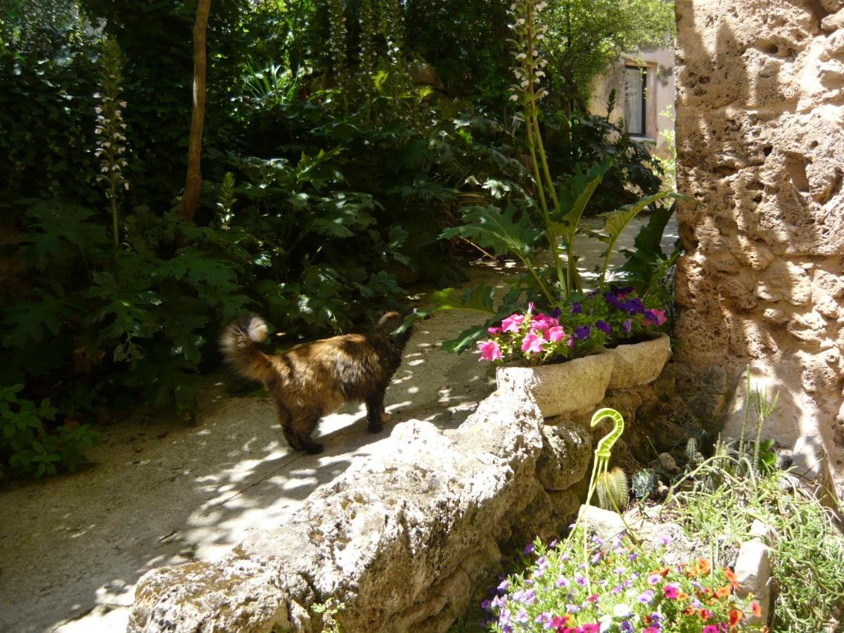 Le Pra De Pe Bed & Breakfast Cotignac Dış mekan fotoğraf